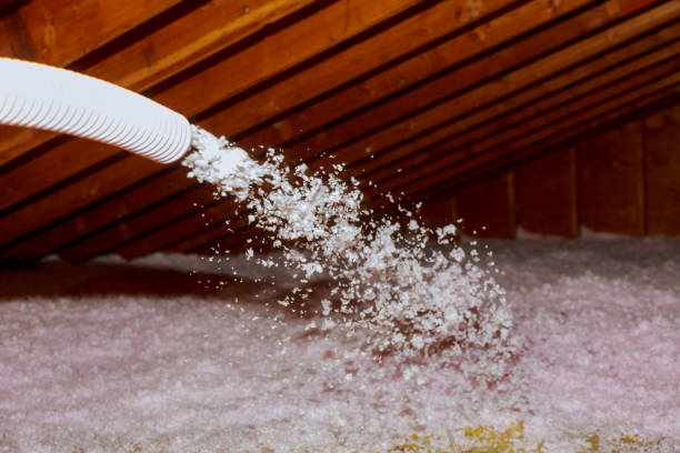 Best Specialized Insulation Services in Wilkesboro, NC