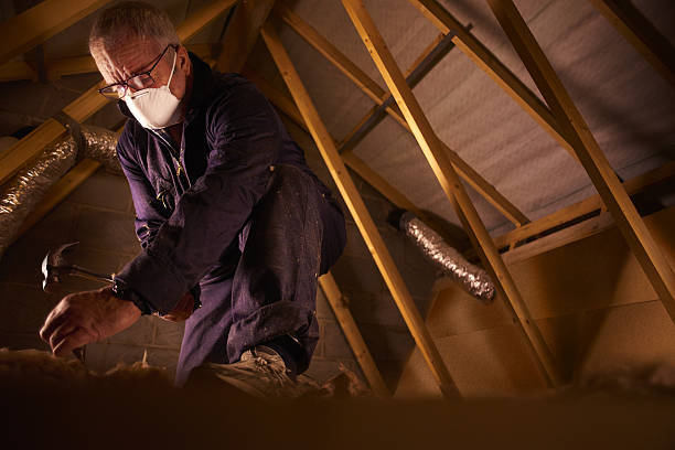 Best Eco-Friendly Insulation in Wilkesboro, NC