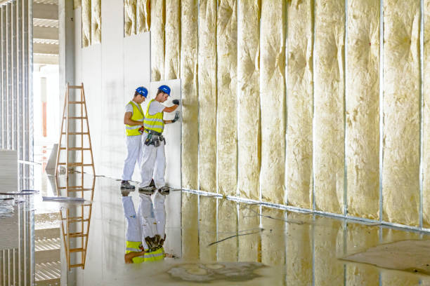 Best Cellulose Insulation in Wilkesboro, NC